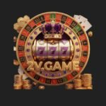 2V Game Logo